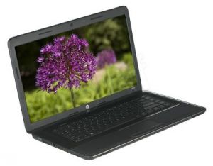HP 650 B820 2GB 15,6 500 DVD INT LIN B6N59EA + HP Basic Carrying Case