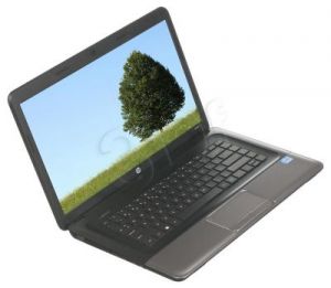 HP 250 1000 4GB 15,6 500 UMA LIN H0W18EA