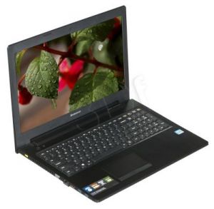 Lenovo IdeaPad G500S i3-3120M 4GB 15,6\" HD 1TB+8SSHD INT DOS