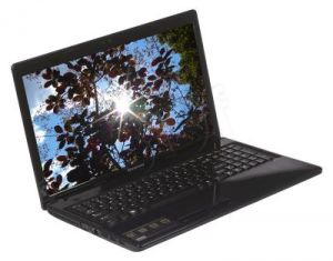 Lenovo IdeaPad G585G E1-1200 4GB 15,6\" HD 500GB HD7310 DOS