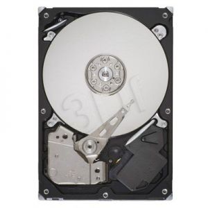 HDD SEAGATE 750GB ST3750525AS SATA III 32MB (WYPRZ)